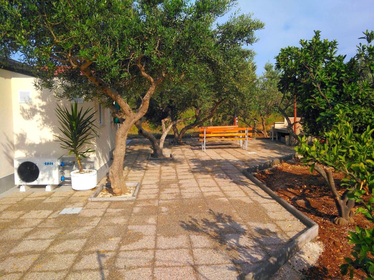Manora Sucuraj